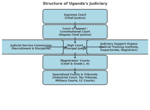 judiciary